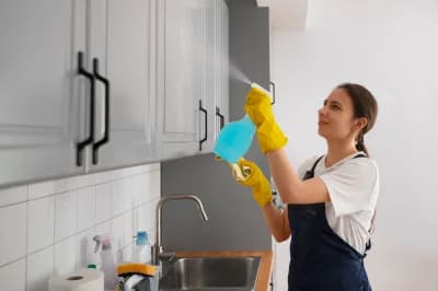 Cleaning Services