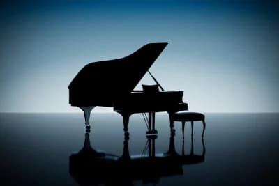 Heavy or Specialized Items