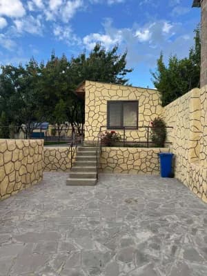 Տարածքի Բարեկարգում, Դեկորատիվ Սվաղ